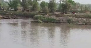 Pahar Pur Layyah News